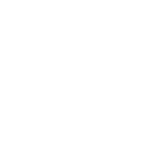 ورود و مزهريات